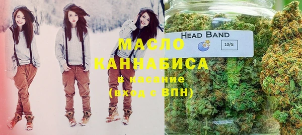 крисы Осинники