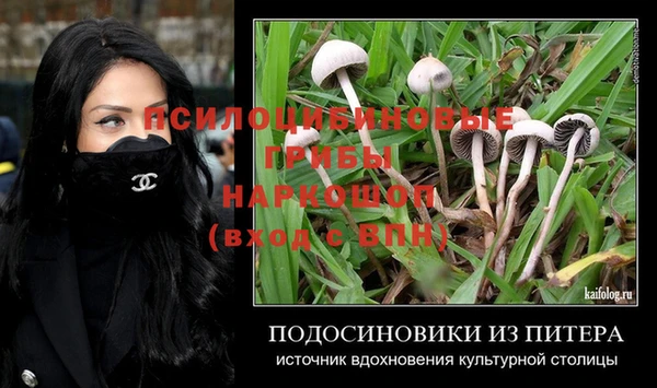 крисы Осинники