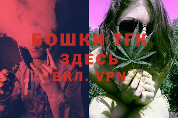 крисы Осинники