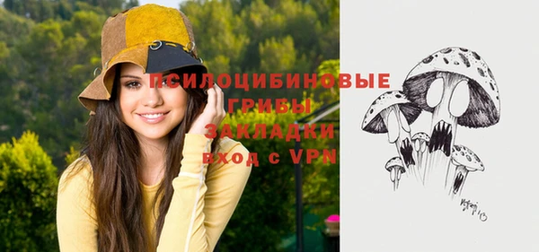 прущие крисы Няндома