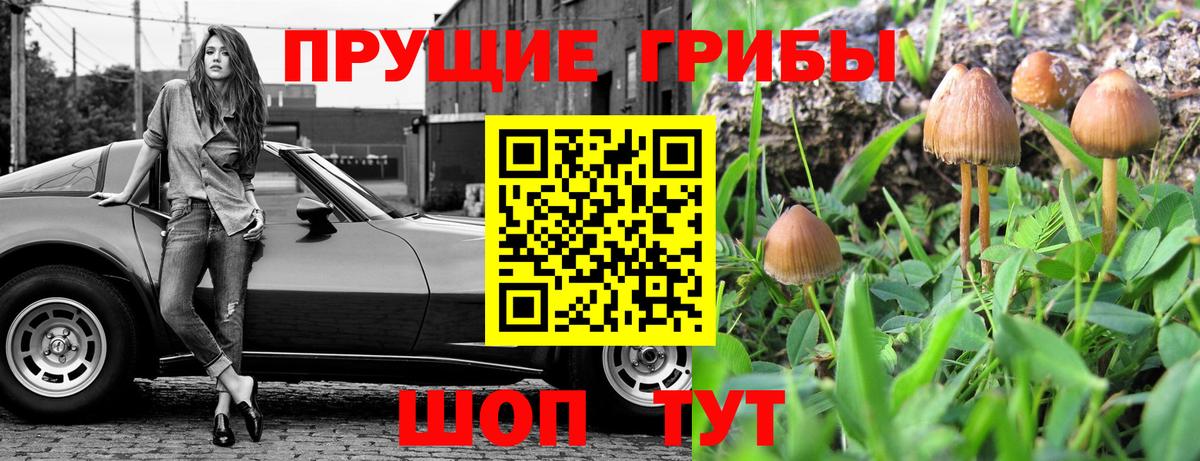 купить наркотики сайты  Псилоцибиновые грибы Cubensis  Вход с VPN  Псилоцибиновые грибы GOLDEN TEACHER  Павловский Посад 